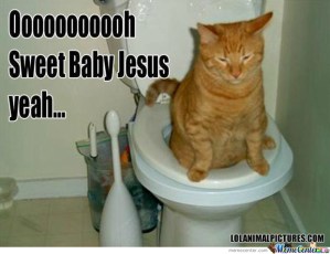 Pretty the Kitty sends her holiday wishes to everyone!