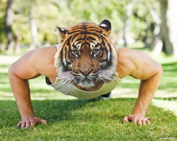 crouching tiger pushup