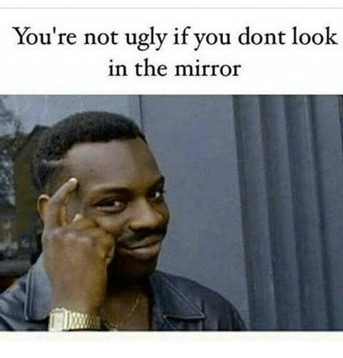 youre-not-ugly-if-you-dont-look-in-the-mirror-15026816